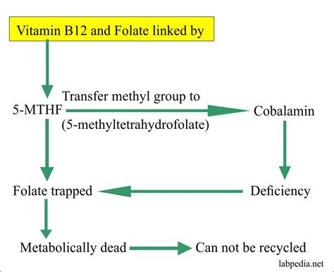 Folic Acid Deficiency - Nutrition Folic Acid - In some cases, improving ...