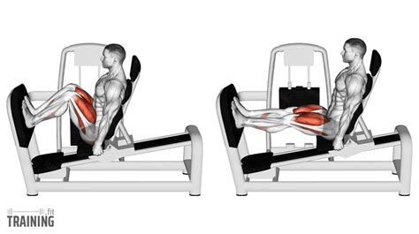 Seated Leg Press Instructions Information And Alternatives Trainingfit