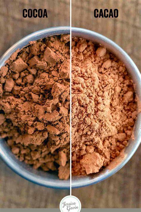 Easy Baking Cocoa Vs Cocoa Powder To Make At Home Easy Recipes To