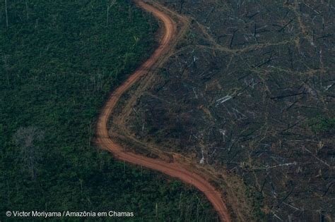 Alerta de desmatamento na Amazônia bate recorde em fevereiro