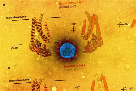 Cryo Electron Microscopy Structure Of Sars Cov 2 Membrane Protein