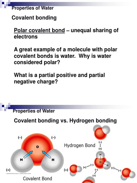 Properties of Water | PDF | Properties Of Water | Ph