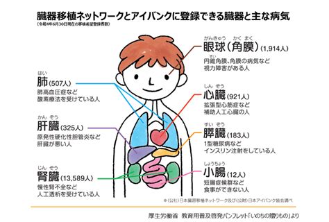 臓器移植の仕組み（2）臓器移植希望者、海外の状況、今後の課題 メディアスホールディングス株式会社