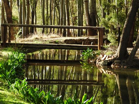 Banco de imagens árvore agua natureza ao ar livre pântano região