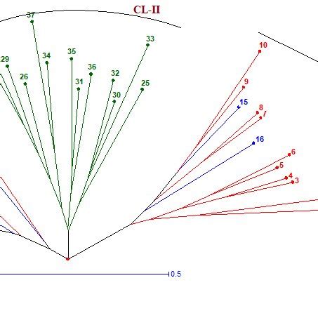 Unweighted Neighbor Joining Nj Dendrogram Showing Genetic