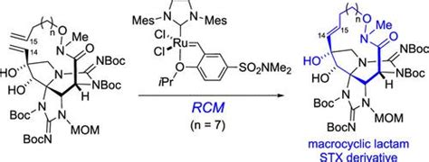 Approaches To Construction Of The Medium Sized Ring Structure In