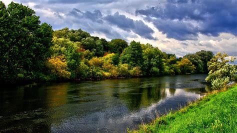 River Running Through Lush Green Forest Wallpaper