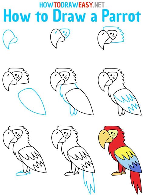 how to draw a parrot step by step