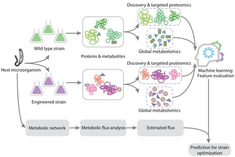 Metabolic Flux Analysis Agile BioFoundry