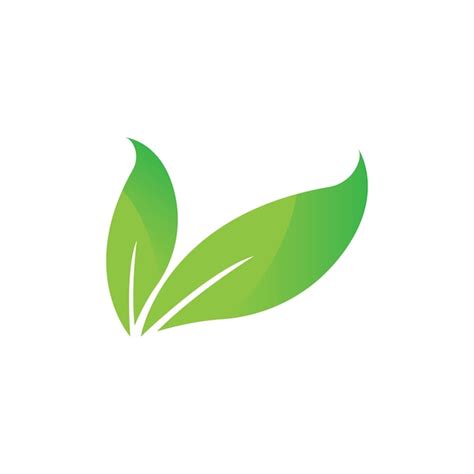 Premium Vector Eco Icon Green Leaf Vector Illustration Isolated Vector