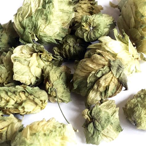 Cascade Hops, Dried - 1 oz or 4 oz — Smoke Camp Crafts