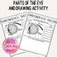 Ask the StoryBots How Do Eyes See | Vision Worksheet Video Guide