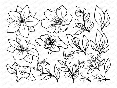 Flower Line Art Graphic By Purmoon · Creative Fabrica