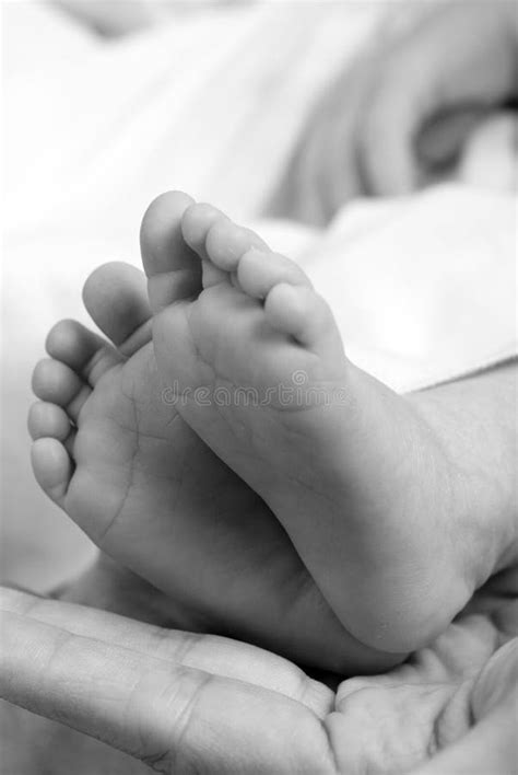 Beautiful Newborn Baby Girl Stock Image Image Of Baby Infant 908203