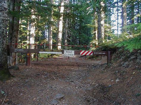 Larch Mountain Road 315 Trailhead - Hiking in Portland, Oregon and Washington