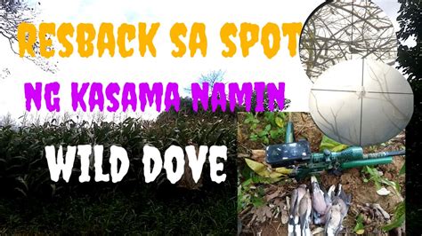 Resback Sa Spot Ng Kasamahan Namin Wild Dove Youtube