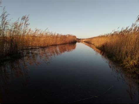 RSPB Minsmere Visit Suffolk