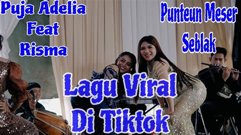 Live Show Puja Adelia Feat Risma Punteun Meser Seblak Unyil Audio