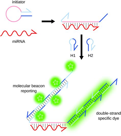 Advances In Multiplexed Techniques For The Detection And Quantification