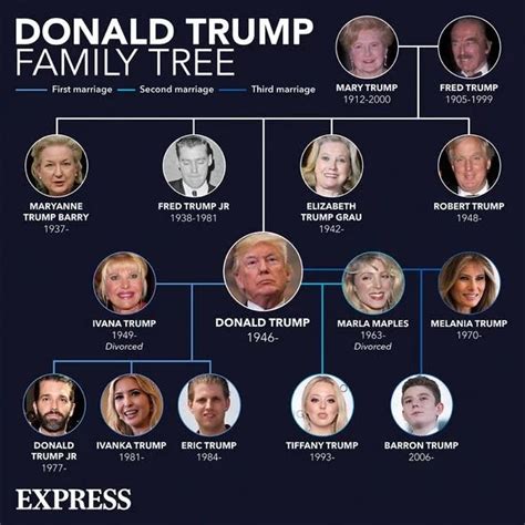 Trump Family Tree / Melania Trump Hailed As Family Alpha After Potus ...