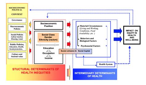 For Decision Makers Iogt International