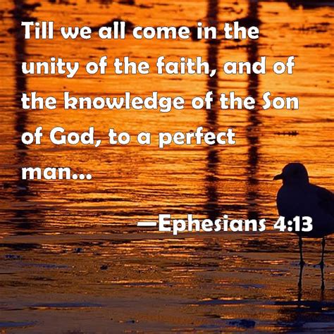 Ephesians Till We All Come In The Unity Of The Faith And Of The