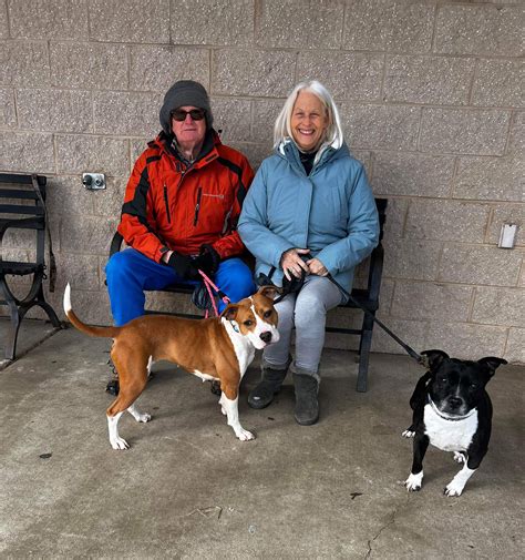 spotsylvania animal shelter 9