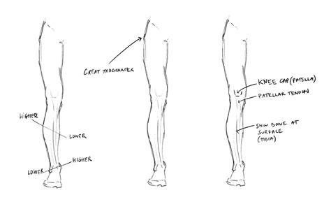 How To Draw Legs Legs Drawing Howtodraw Drawings Pencil Images And Photos Finder