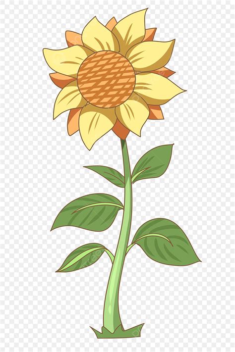 Planta Girasol Bonita Bonita Png Dibujos Im Genes Predise Adas De