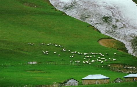 Talesh Nature | North Iran | Hyrcanian Forest | Iran Hiking | Iran ...