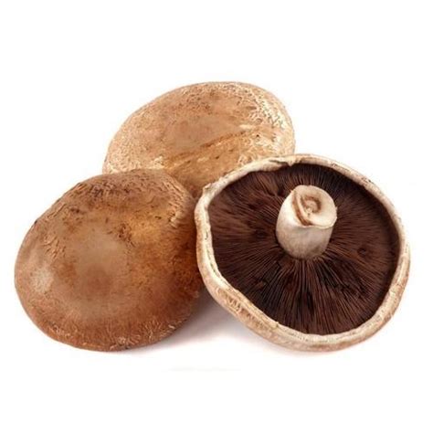 Portobello Mushroom Food Gallery