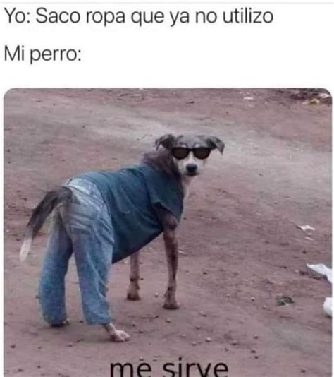 Yo Saco Ropa Que Ya No Utilizo Mi Perro Me Sirve Memes