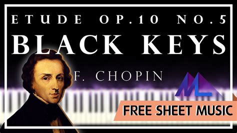 Ml 악보f 쇼팽 🎹에튀드 10 5번 흑건 F Chopin Étude Op 10 No 5