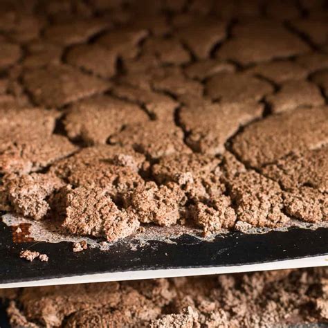 How To Make Acorn Flour Cold Leached Forager Chef