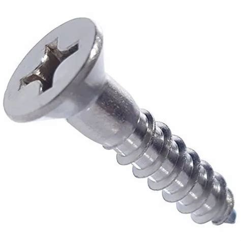 316 Marine Grade Stainless Steel Screws At Rs 5piece Bhuleshwar