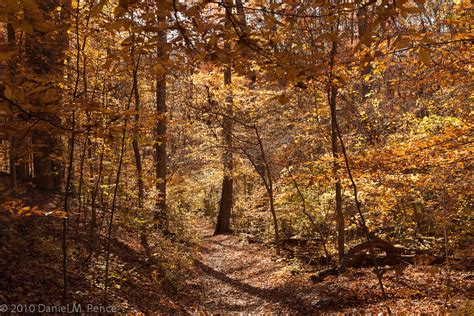 Rock Creek Park – Fall Colors | Dan Pence Photography