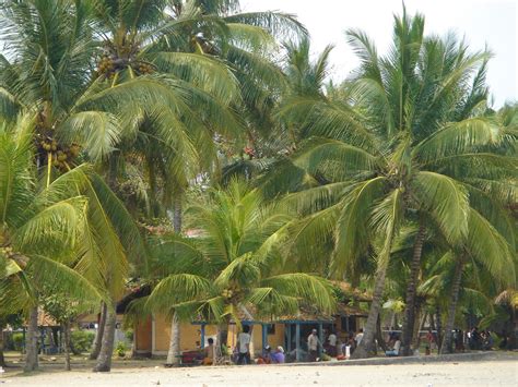 java alle tips reviews en reizen vind je op indonesienl