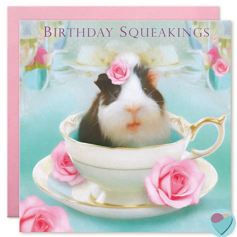 guinea pig birthday card birthday squeakings juniperlove