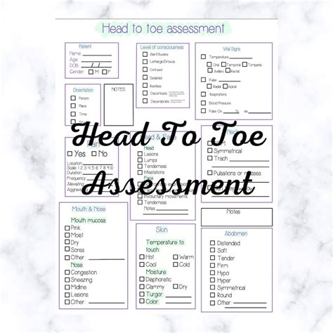 Head To Toe Assessment Template Nursing School New Nurse Etsy