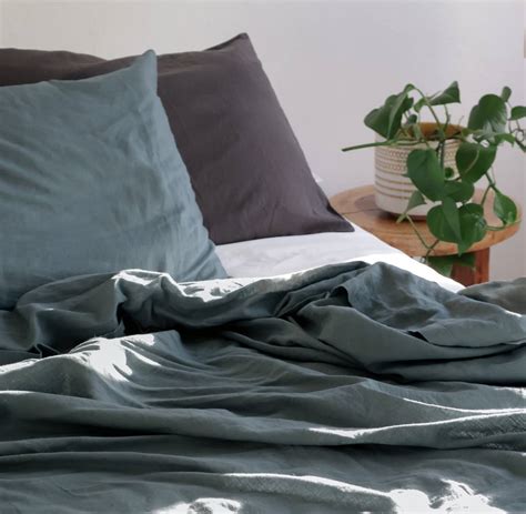 Brands • Sustainable Jungle