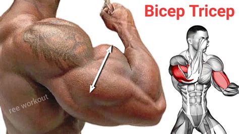 The World S Bicep Tricep Exercises To Build In 22 Days Triceps