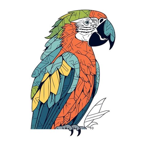 Premium Vector Parrot Vector Illustration Hand Drawn Macaw Parrot