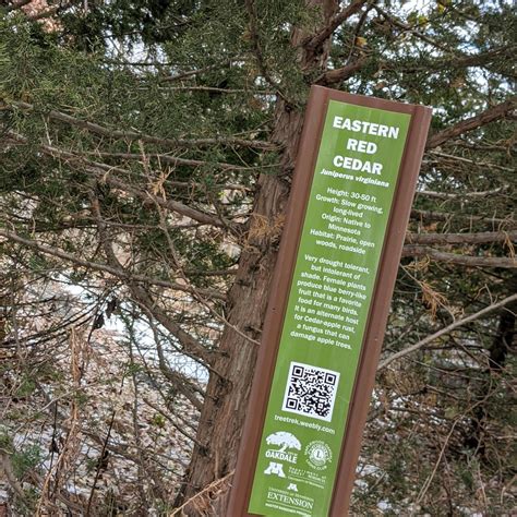 Exploring Nature and Wildlife at Oakdale Nature Preserve 5