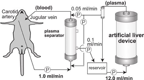 A Schematic Diagram Of The Extracorporeal Circulation System Containing