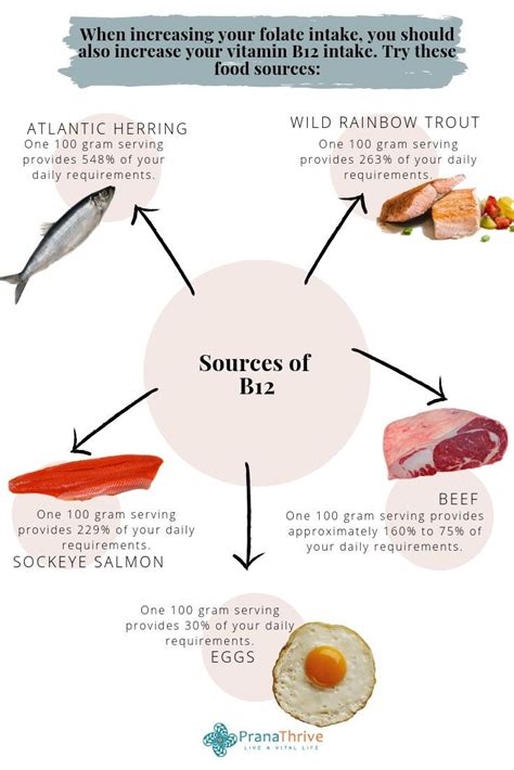 Mthfr Gene Mutation What You Need To Know Prana Thrive Mthfr