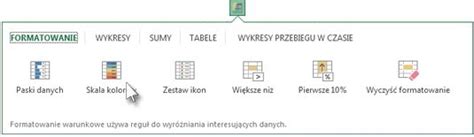 Wyr Nianie Informacji W Programie Excel Za Pomoc Formatowania