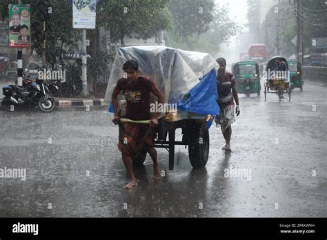 Rickshaw Puller Carrying Passenger When Heavy Rainfall Maid In Dhaka