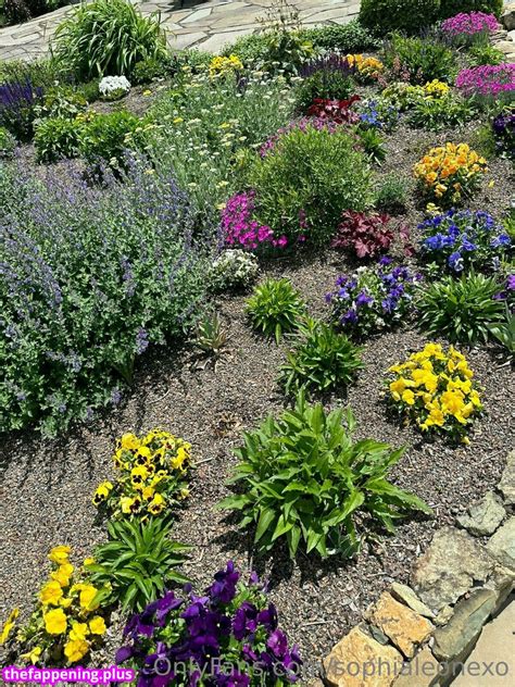 Sophia Leone Sophialeonex Sophialeonexo Xosophialeone Nude OnlyFans Photo The