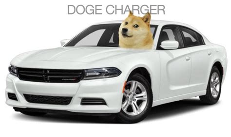 Doge charger : r/meme