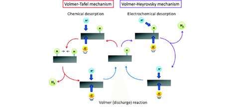 Hydrogen Evolution Reaction Mechanism